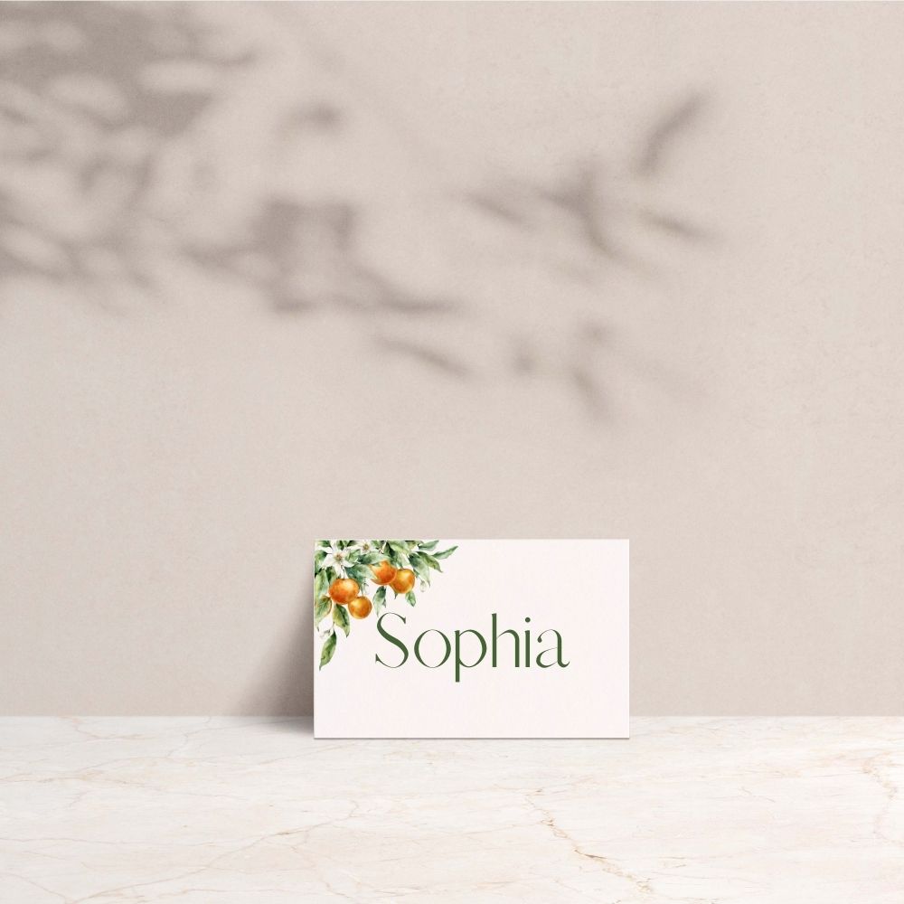 Sophia Collection