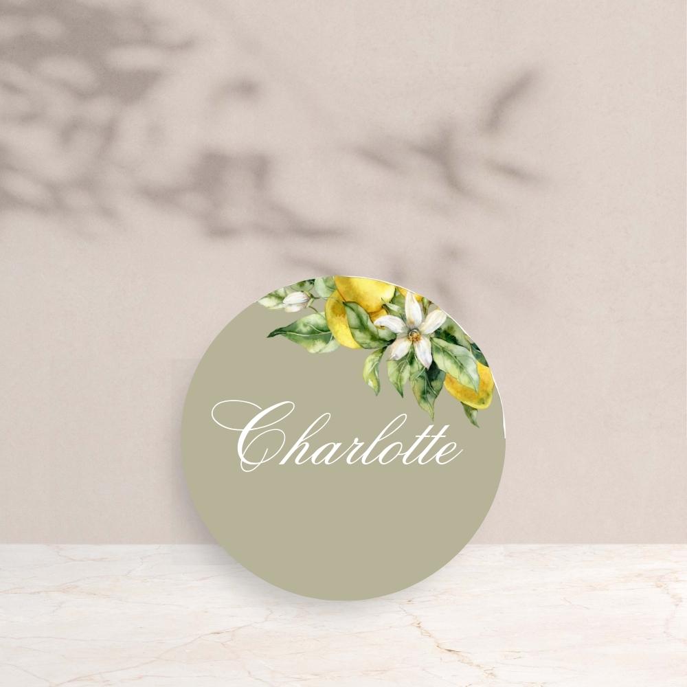 CHARLOTTE Wedding Circle Place Cards - Wedding Reception Stationery available at The Ivy Collection | Luxury Wedding Stationery