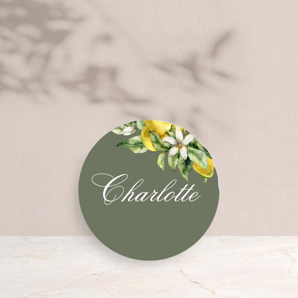 CHARLOTTE Wedding Circle Place Cards - Wedding Reception Stationery available at The Ivy Collection | Luxury Wedding Stationery
