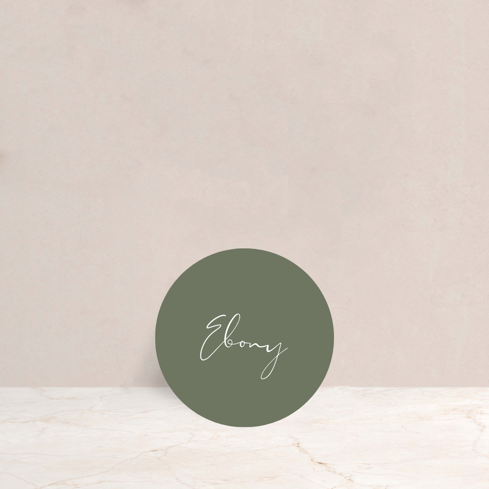Ebony Wedding Circle Place Cards